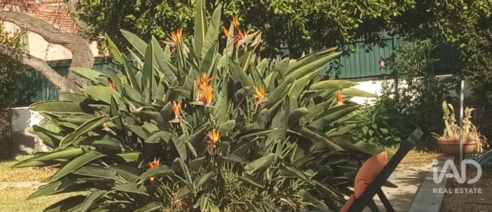 Moradia T5 em São Domingos de Rana de 160 m²