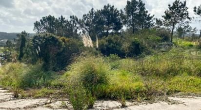 Terrain à bâtir à Queluz e Belas de 14 006 m²