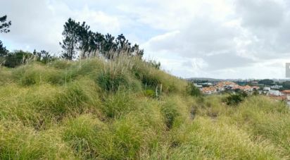 Terrain à bâtir à Queluz e Belas de 14 006 m²