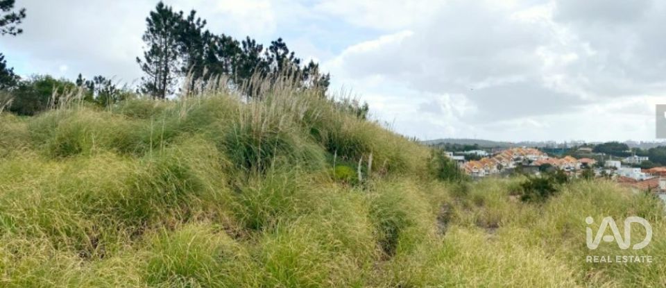 Terreno urbano em Queluz e Belas de 14 006 m²