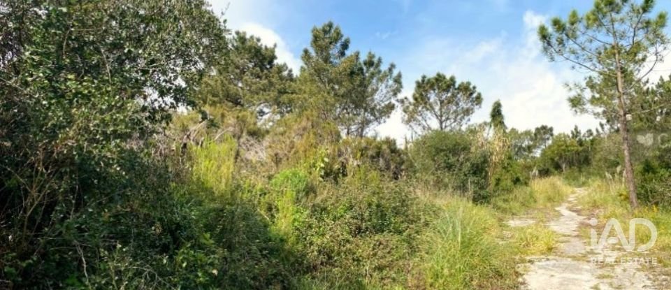 Terreno urbano em Queluz e Belas de 14 006 m²