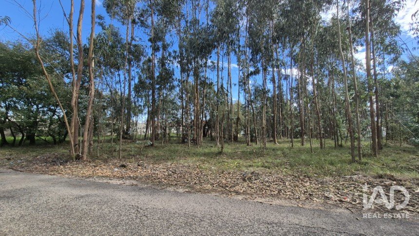 Terreno urbano em Pedreiras de 920 m²