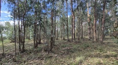 Terrain à bâtir à Pedreiras de 920 m²