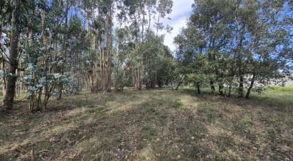 Terrain à bâtir à Pedreiras de 920 m²