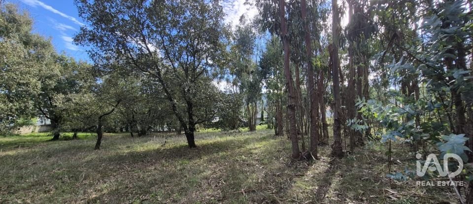 Terreno urbano em Pedreiras de 920 m²