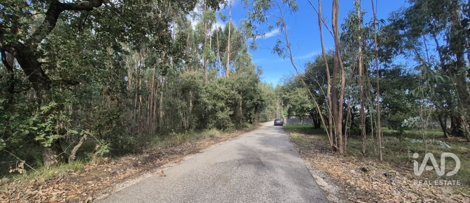 Terreno urbano em Pedreiras de 920 m²