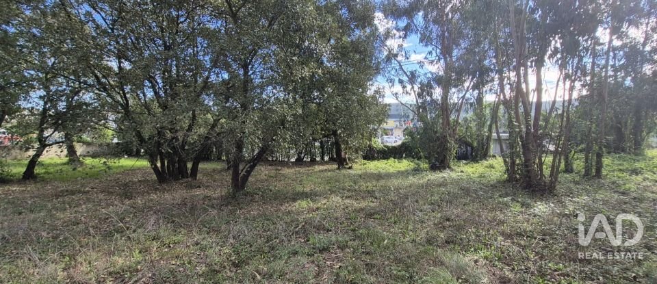 Terreno urbano em Pedreiras de 920 m²