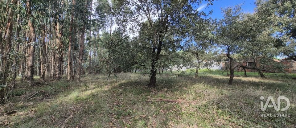 Terreno urbano em Pedreiras de 920 m²