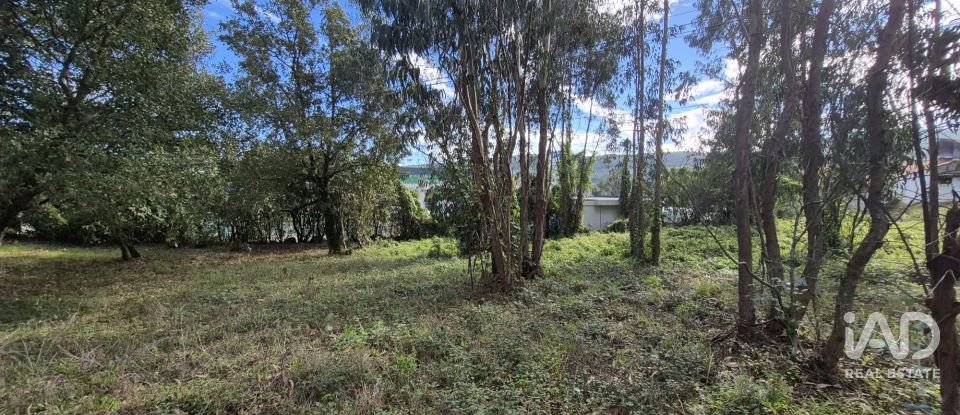 Terreno urbano em Pedreiras de 920 m²