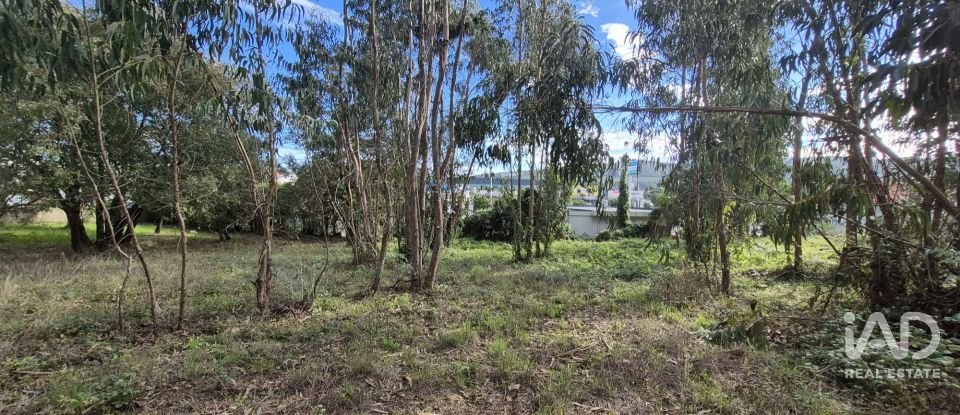 Terreno urbano em Pedreiras de 920 m²