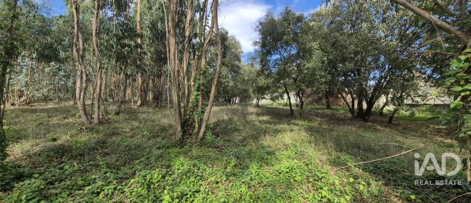 Terreno urbano em Pedreiras de 920 m²