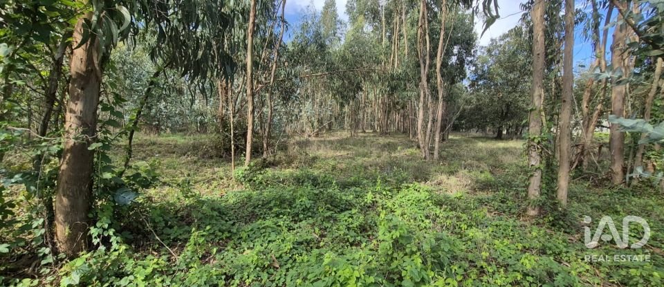 Terreno urbano em Pedreiras de 920 m²