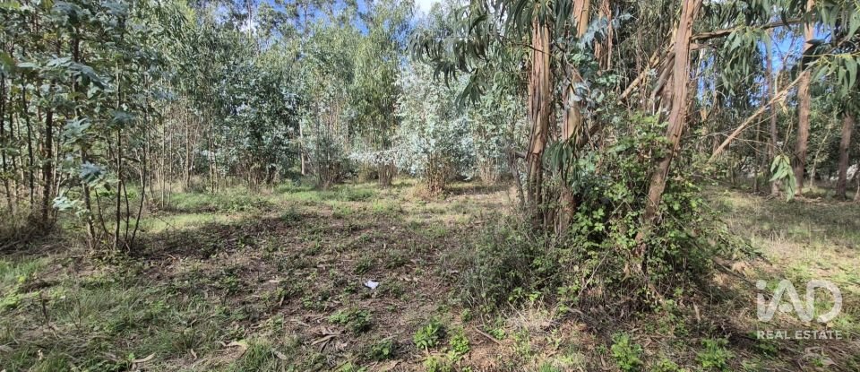 Terreno urbano em Pedreiras de 920 m²