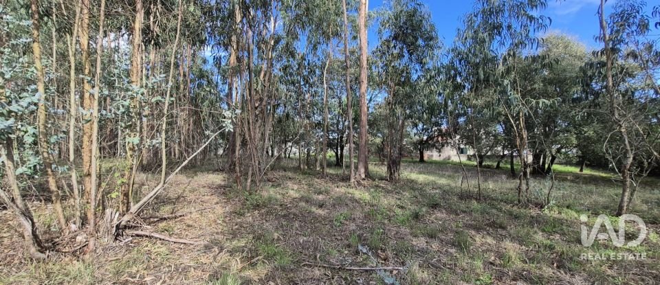 Terreno urbano em Pedreiras de 920 m²