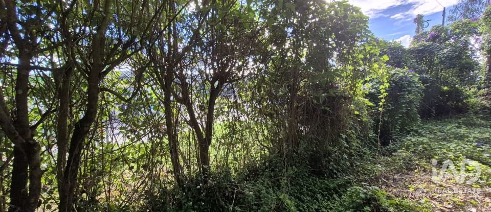 Terreno urbano em Pedreiras de 920 m²