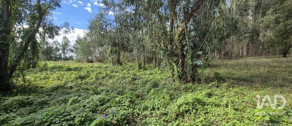 Terreno urbano em Pedreiras de 920 m²