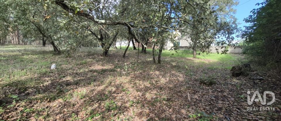 Terreno urbano em Pedreiras de 920 m²