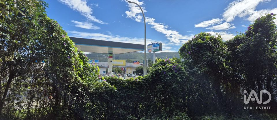 Terreno urbano em Pedreiras de 920 m²