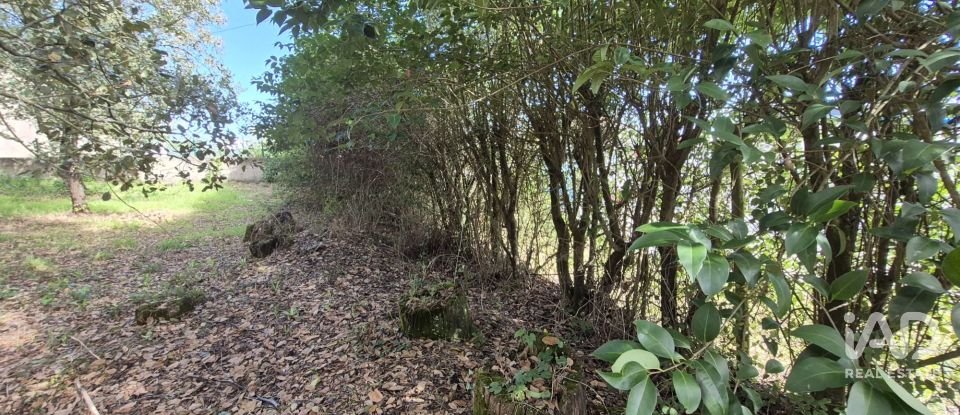 Terreno urbano em Pedreiras de 920 m²