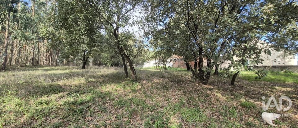 Terreno urbano em Pedreiras de 920 m²