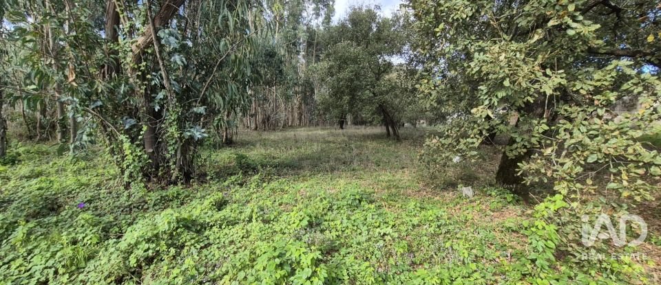 Terreno urbano em Pedreiras de 920 m²