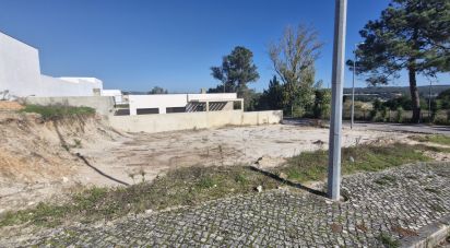 Mansion T3 in Rio Maior of 155 m²