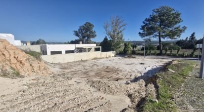 Mansion T3 in Rio Maior of 155 m²