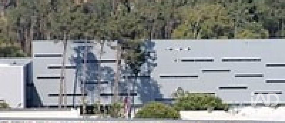 Habitação T3 em Rio Maior de 155 m²