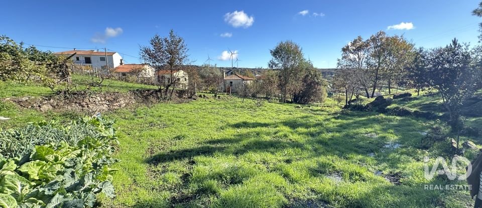 Casa de Campo T2 em Trancoso (São Pedro e Santa Maria) e Souto Maior de 30 m²