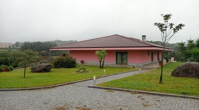 Lodge T6 in Selho (são jorge) of 457 m²