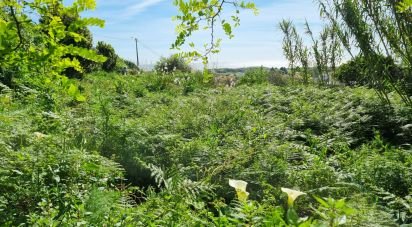 Building plot in Areosa of 1,063 m²