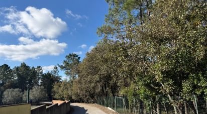 Terrain à bâtir à Pedreiras de 2 320 m²