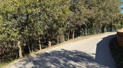Terrain à bâtir à Pedreiras de 2 320 m²