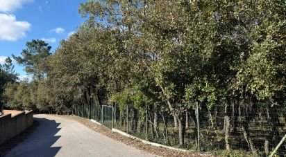 Terrain à bâtir à Pedreiras de 2 320 m²