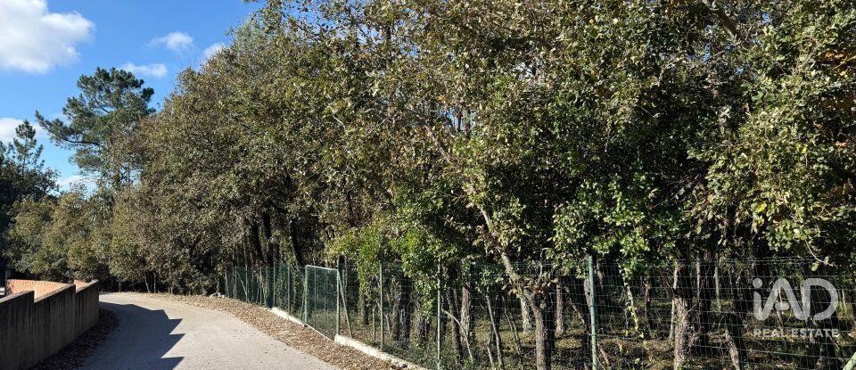 Terrain à bâtir à Pedreiras de 2 320 m²