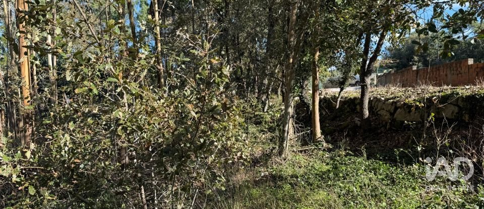 Terrain à bâtir à Pedreiras de 2 320 m²