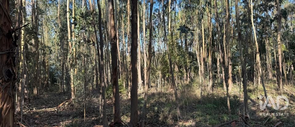 Terrain à bâtir à Pedreiras de 2 320 m²