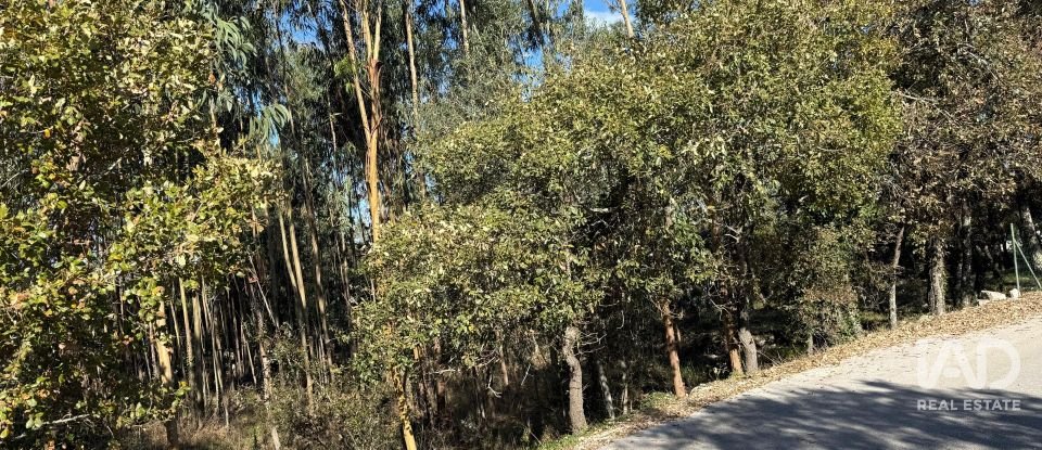 Terrain à bâtir à Pedreiras de 2 320 m²