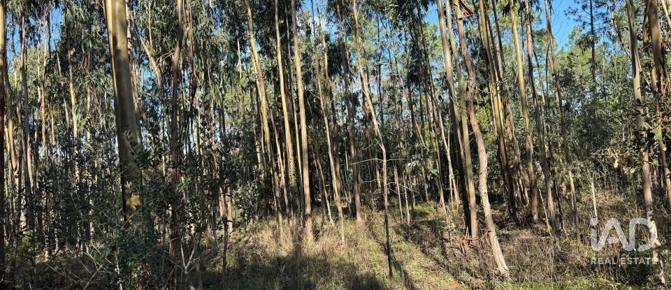 Terrain à bâtir à Pedreiras de 2 320 m²