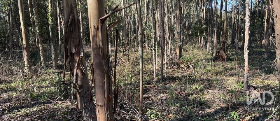 Terrain à bâtir à Pedreiras de 2 320 m²