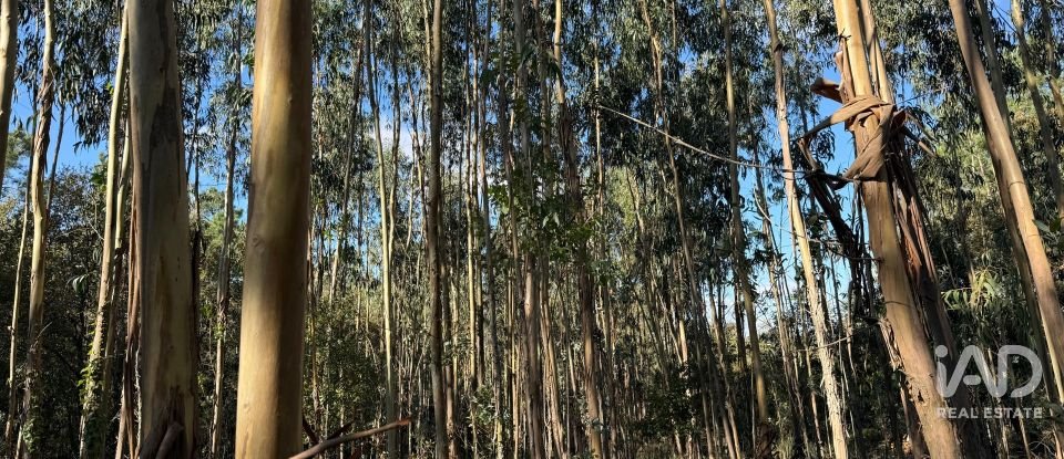 Terrain à bâtir à Pedreiras de 2 320 m²