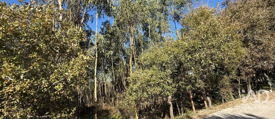 Terrain à bâtir à Pedreiras de 2 320 m²