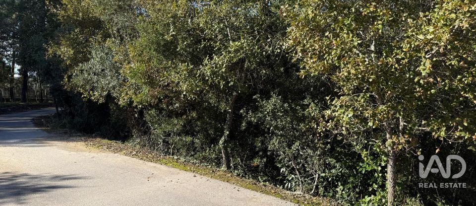 Terrain à bâtir à Pedreiras de 2 320 m²