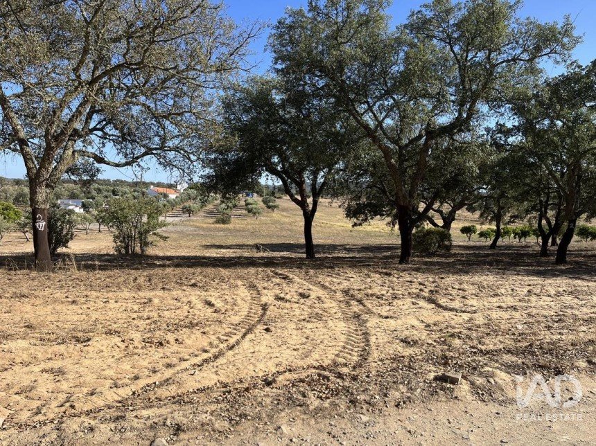 Terreno em Grândola e Santa Margarida da Serra de 8 000 m²