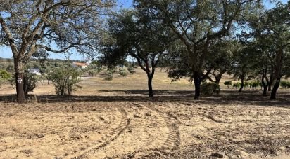 Terrain à Grândola e Santa Margarida da Serra de 8 000 m²