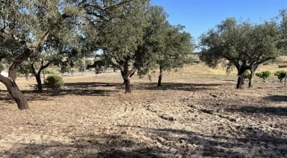Terrain à Grândola e Santa Margarida da Serra de 8 000 m²