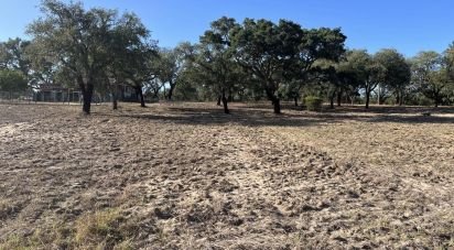 Terrain à Grândola e Santa Margarida da Serra de 8 000 m²