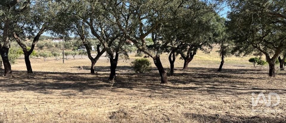 Terreno em Grândola e Santa Margarida da Serra de 8 000 m²