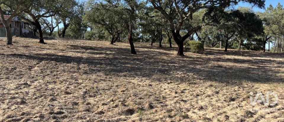 Terreno em Grândola e Santa Margarida da Serra de 8 000 m²