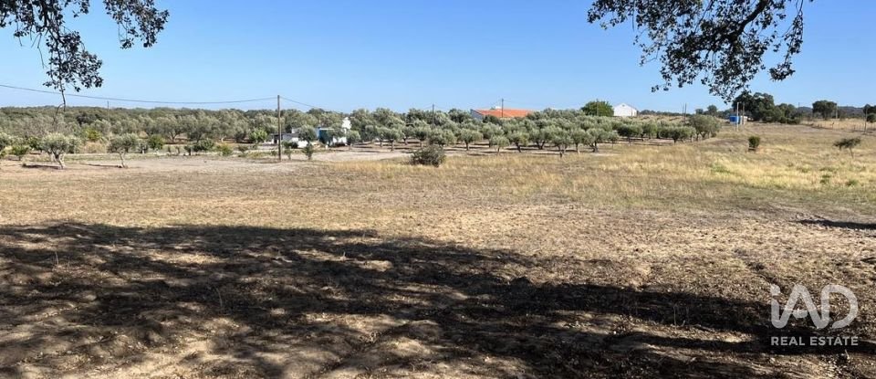 Terreno em Grândola e Santa Margarida da Serra de 8 000 m²